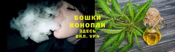 хмурый Инта