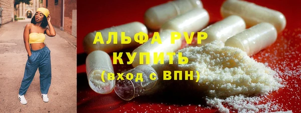 хмурый Инта