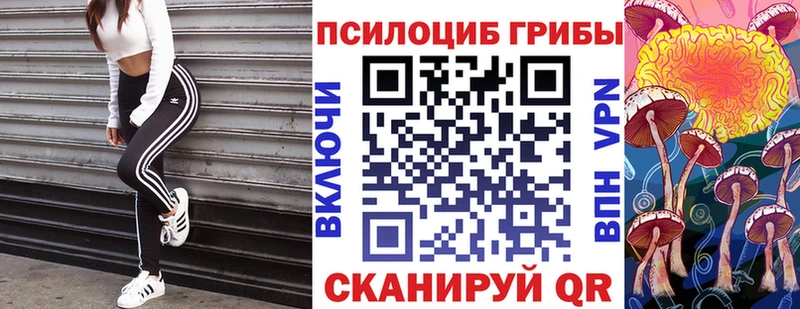 наркотики  Богородицк  Псилоцибиновые грибы прущие грибы 